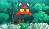 Ash Catches a New Pokemon in Anime Series