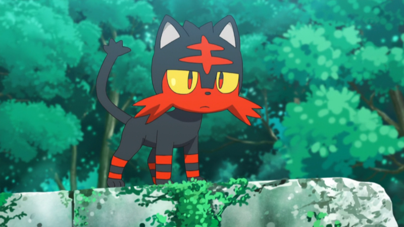 Ash Catches a New Pokemon in Anime Series