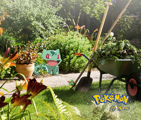 What If Pokemon Where Found According To Home Environment Pokemon Group