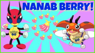 Nanab Berry