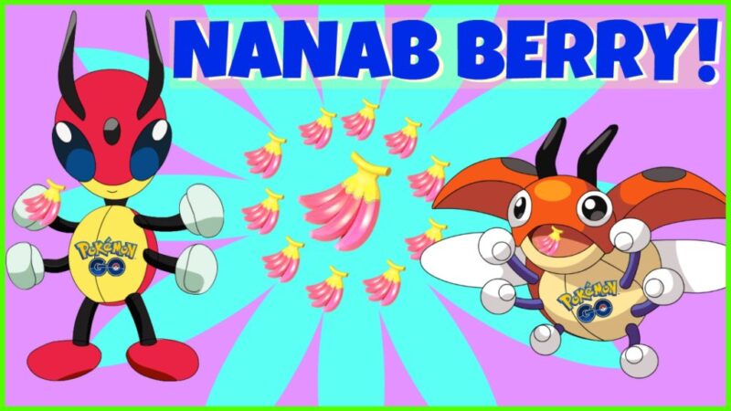 The Nanab Syndrome: 78% of Trainers dislike the Nanab Berry!