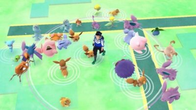 Pokemon GO Rural Spawn