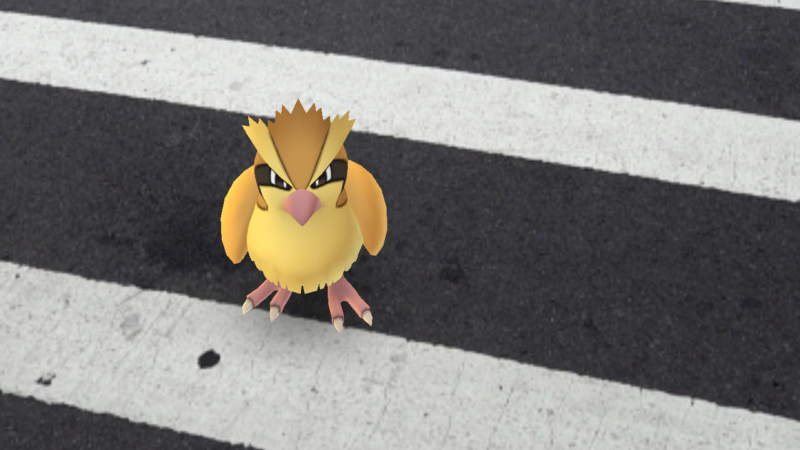 Pokemon Go hackers getting put in Pidgey-filled purgatory