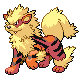 Arcanine