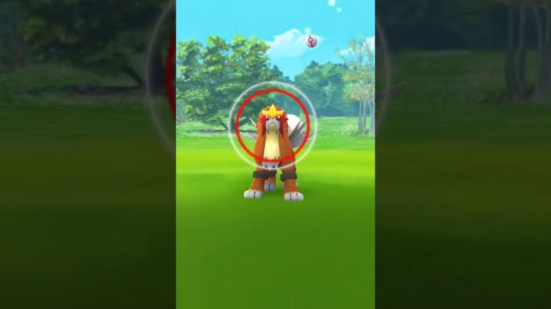 Pokémon Go fleeing Raid Boss bug perplexes trainers