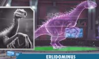 Erlidominus