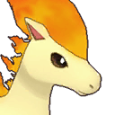 Ponyta