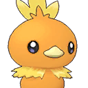 Torchic