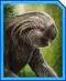Jurassic World Alive Tier List (3.9 - Nov 2024) 208 Jurassic World Alive Tier List (3.9 - Nov 2024) 96