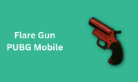 Flare Gun: PUBG Mobile 6