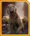 Lystrosavis: Jurassic World Alive 5